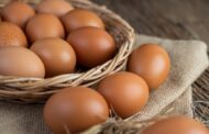 Правительство России поддержало инициативу о нулевой пошлине на поставки импортных яиц