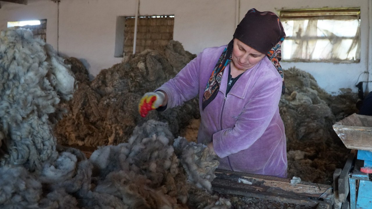 Российское правительство утвердило  «‎дорожную карту» по развитию глубокой переработки овечьей шерсти