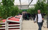 Аграрии Дагестана могут получить льготные микрозаймы для сезонных работ