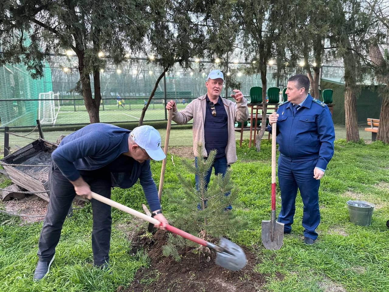 В Ленинском парке Махачкалы высадили более 100 деревьев в память о погибших на СВО дагестанцах