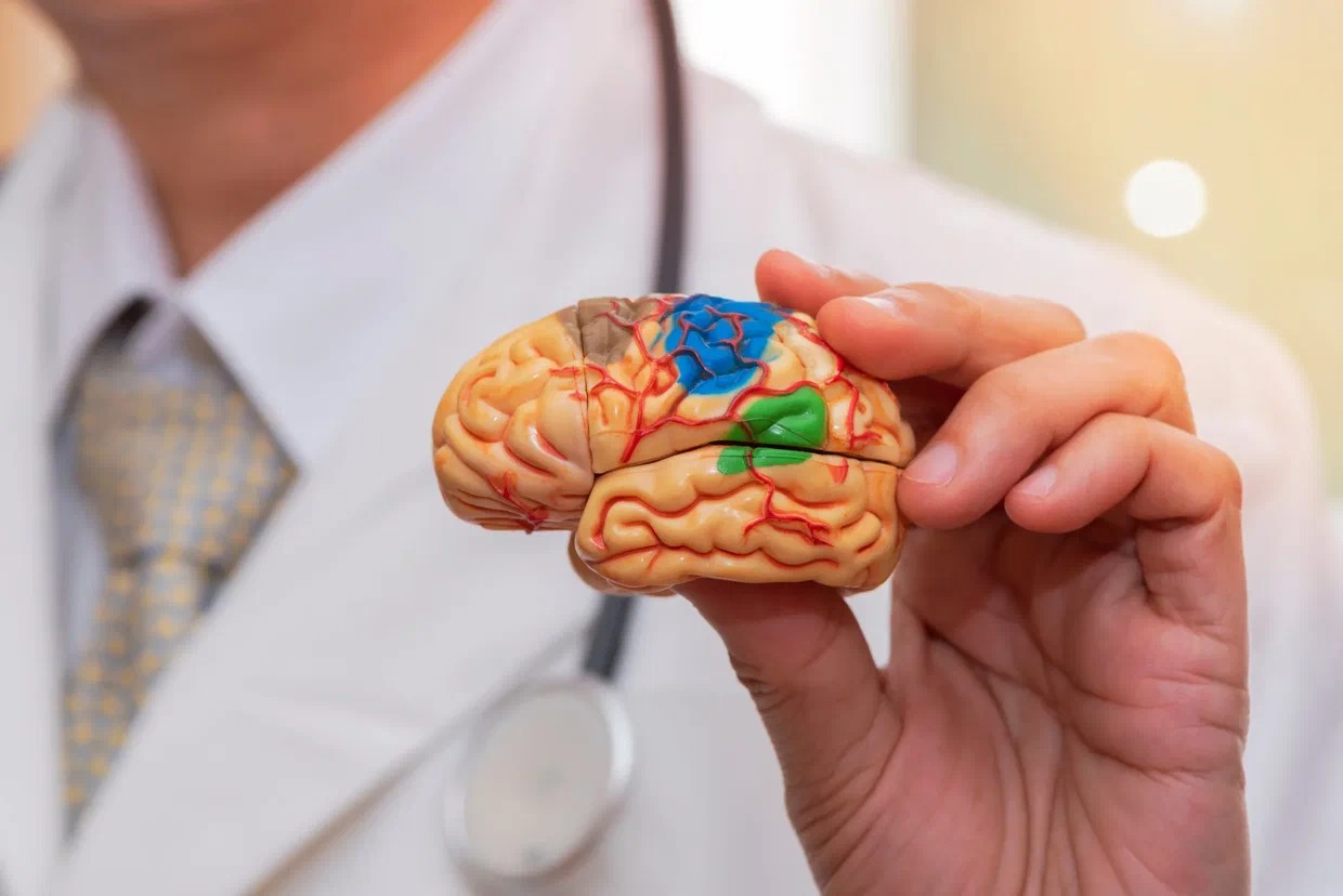 Как сохранить здоровье головного мозга
