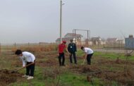 Герои СВО не погибли, они всегда с нами в Садах памяти