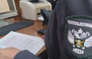 В Дагестане выявлено 11 нарушений по ввозу лесоматериалов, яблонь и риса