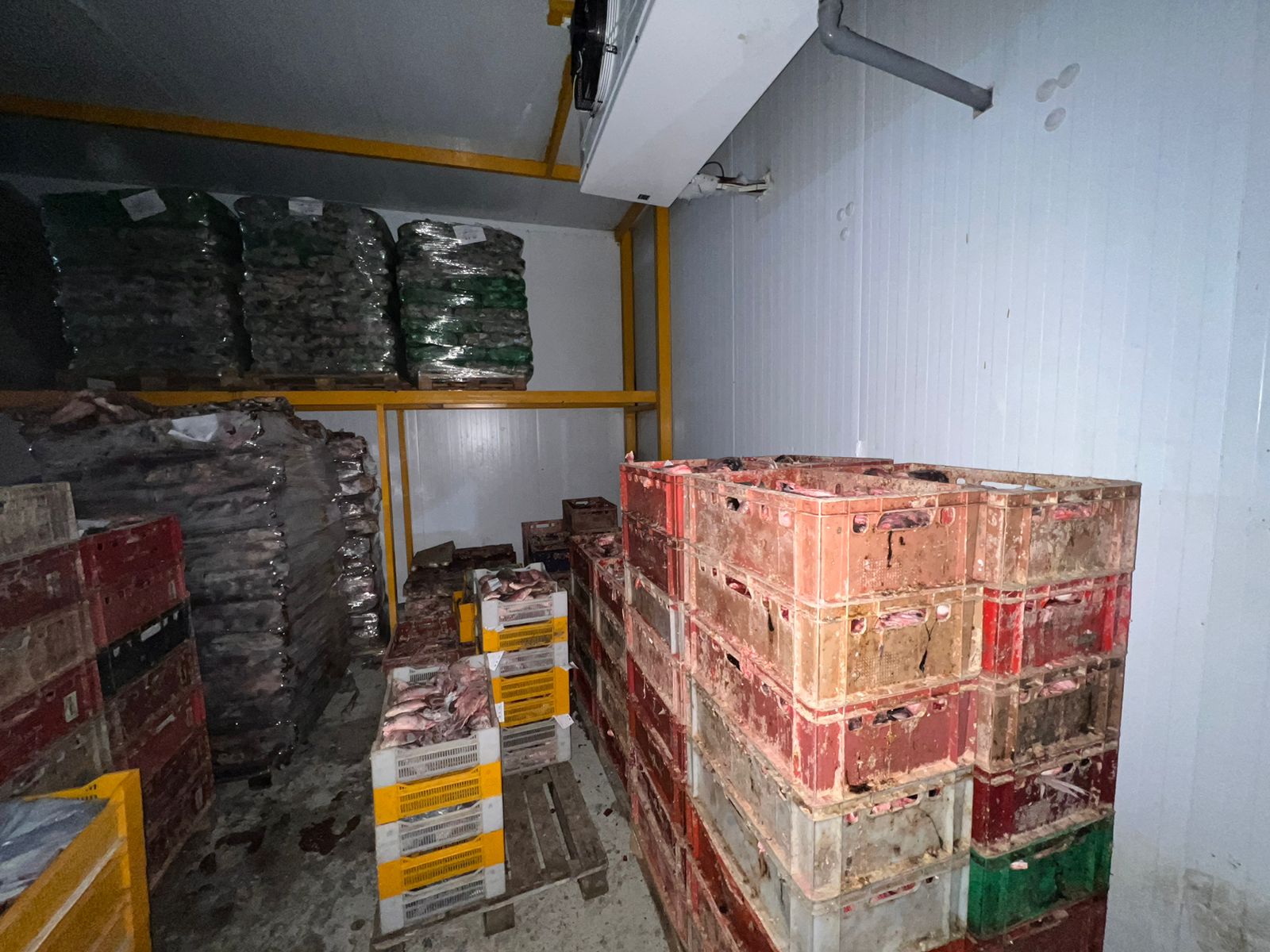 В Дагестане пресечена деятельность преступной группы по незаконному вывозу водных биологических ресурсов