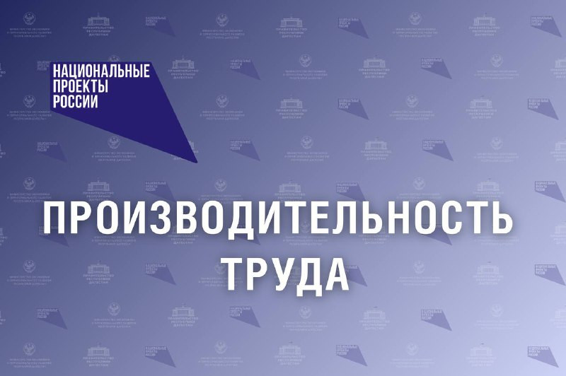 Республика Дагестан присоединяется к федеральному проекту «Производительность труда»: новые возможности для бизнеса и социальной сферы