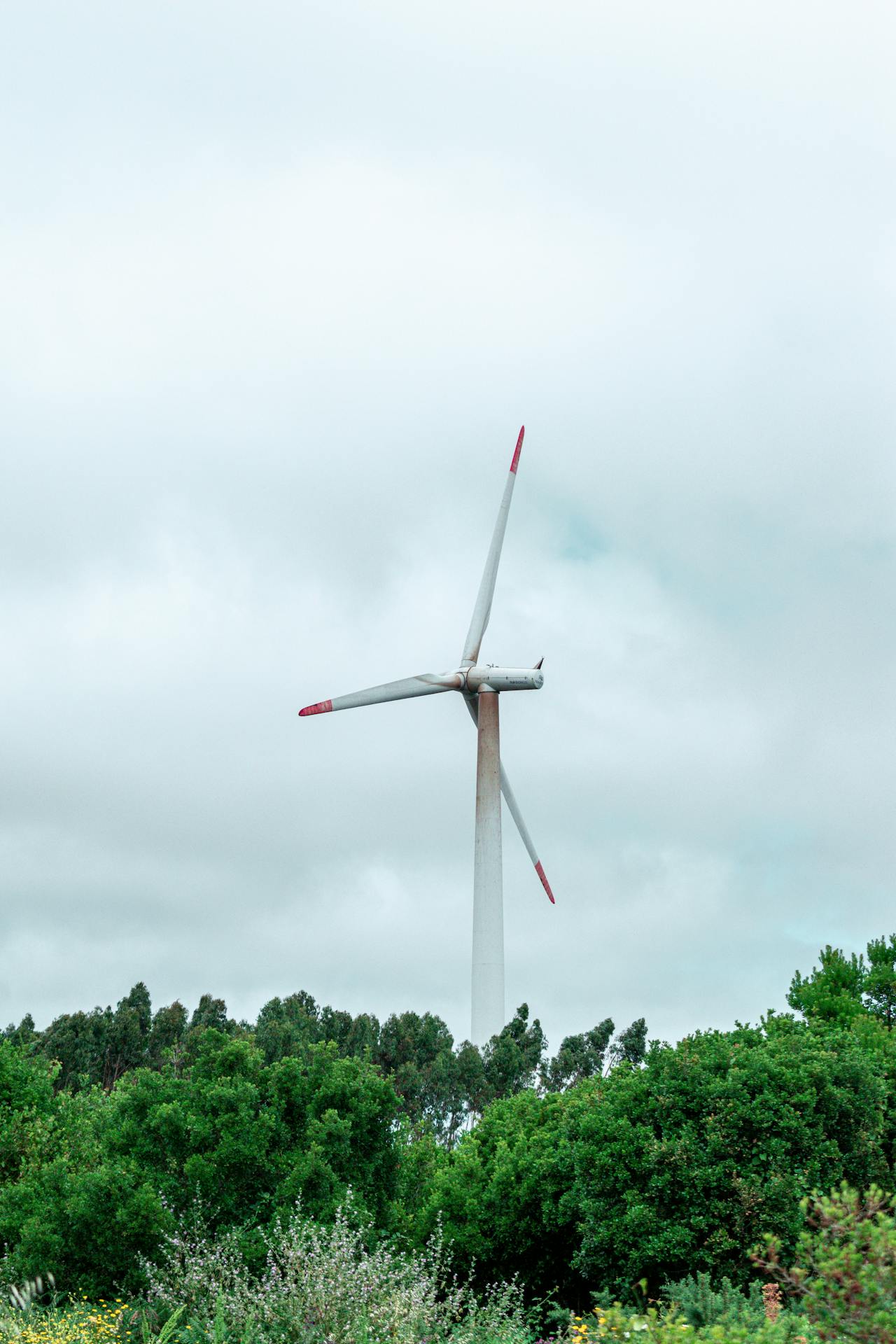 Российские технологии делают зеленую энергетику доступной и эффективной