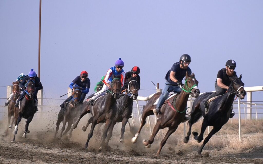 Более 2 тысяч человек собрал Кубок Дагестана по конному спорту в Махачкале