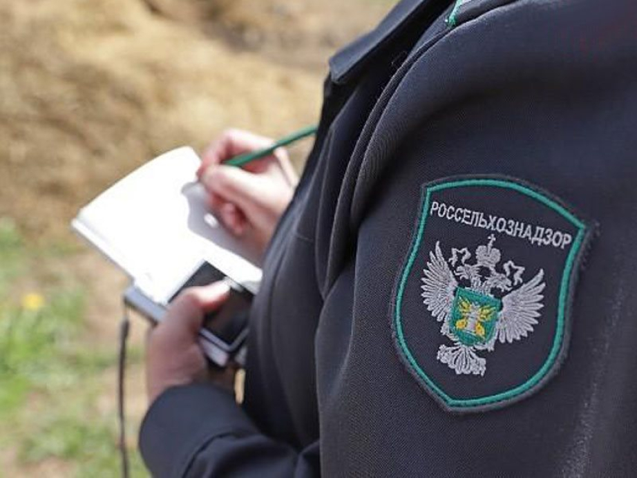Россельхознадзор выявил нарушения использования земель сельхозназначения в Дагестане на сумму более 1,1 млн рублей