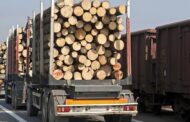 В Дагестане выявлено 12 нарушений при ввозе лесоматериалов в республику