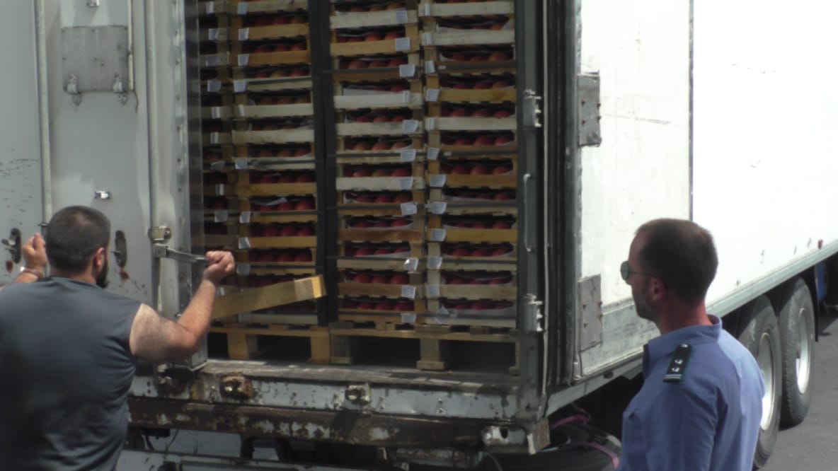 В Дагестане Россельхознадзором проконтролирован ввоз более 8500 партий подкарантинной продукции