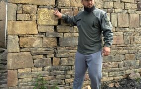 Книжный лев