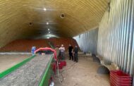 В Дагестане запущено современное овощехранилище на 1500 тонн