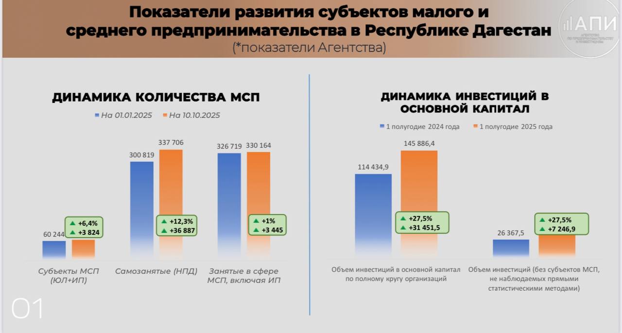 В Дагестане выросло число малых предприятий и самозанятых
