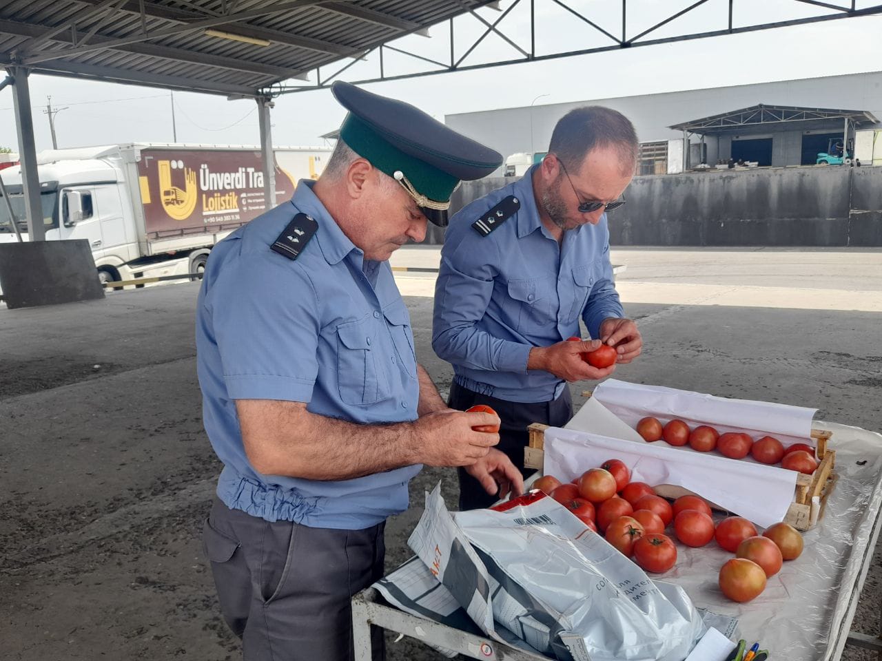 В ноябре из Дагестана вывезли более 12,5 тысячи тонн плодоовощной продукции под контролем Россельхознадзора