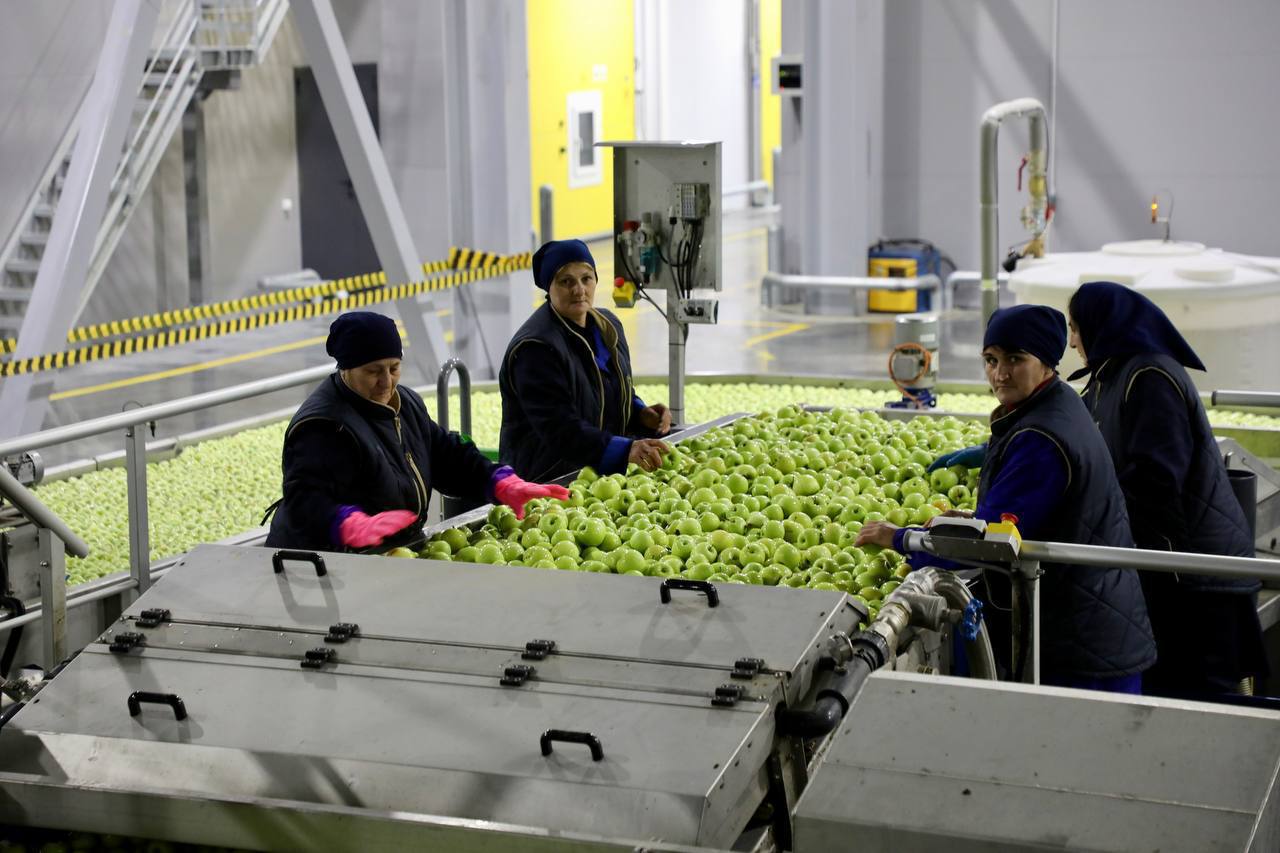 Дагестан наращивает мощности для хранения урожая: к 2026 году — 60 тыс. тонн