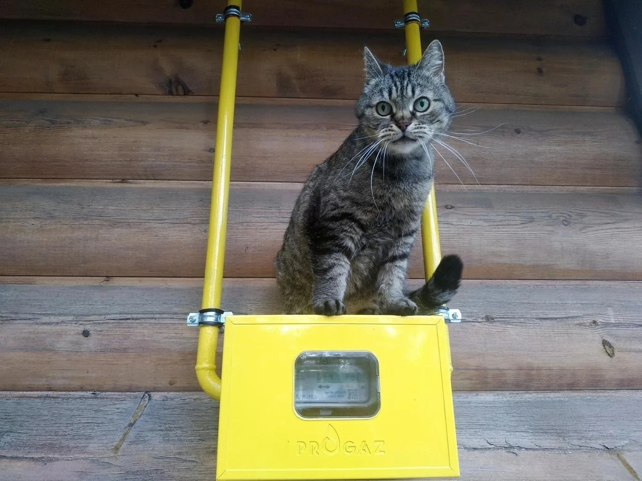 Дагестанцы сократили переплаты за газ: начисления по нормативу упали на 130 млн кубометров