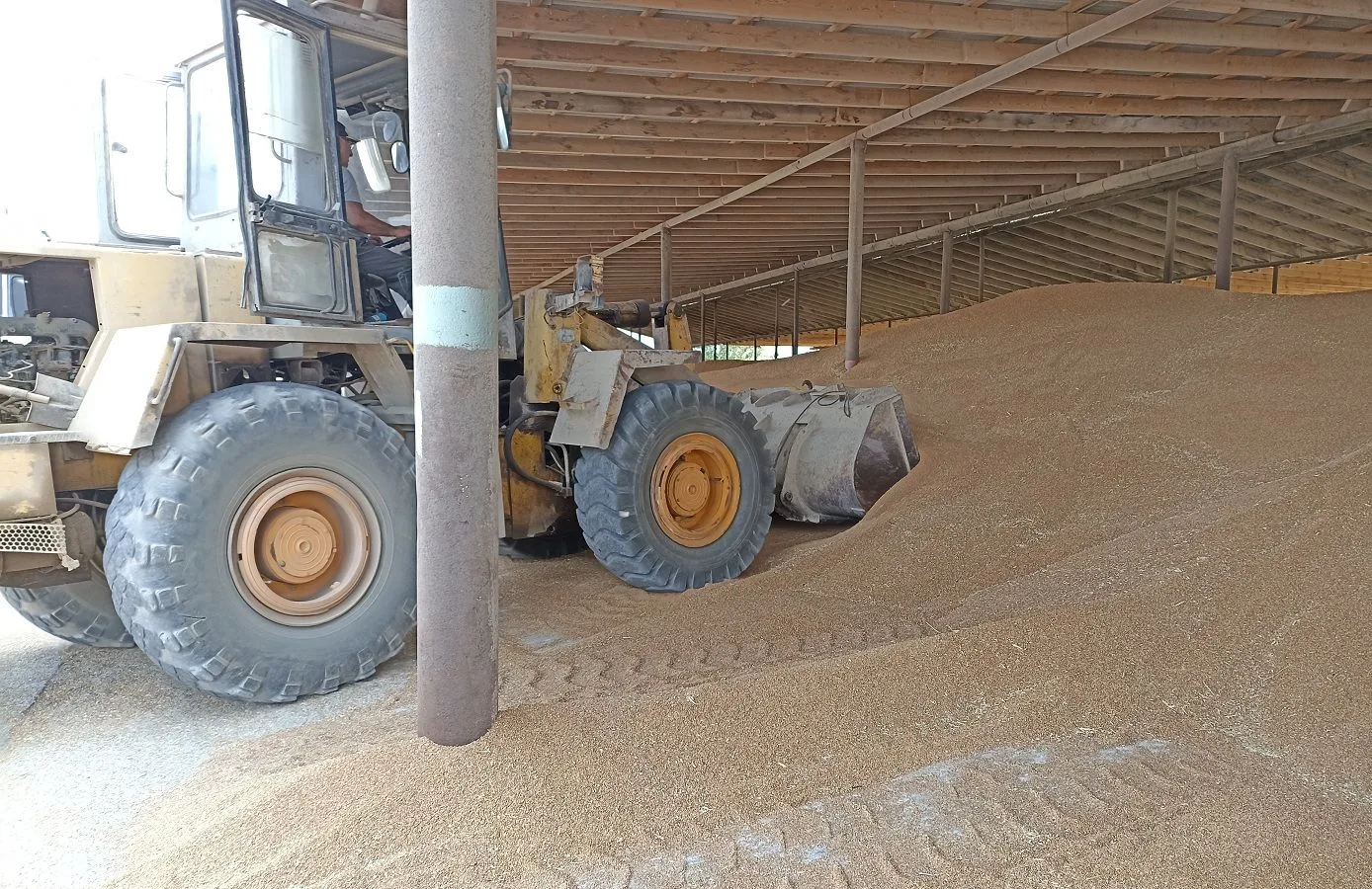 Россельхознадзор провёл 17 консультаций для дагестанских аграриев по вопросам транспортировки продукции