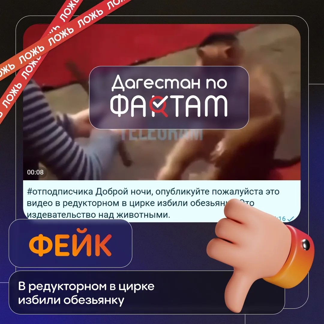Опровержение: видео с избиением обезьяны в цирке оказалось старым фейком из Санкт-Петербурга