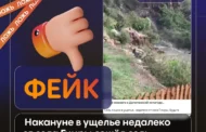 Опровержение: видео схода селя в Гимрах оказалось архивным