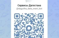 В Дагестане запустили единый навигатор по госуслугам — «Сервисы Дагестана»