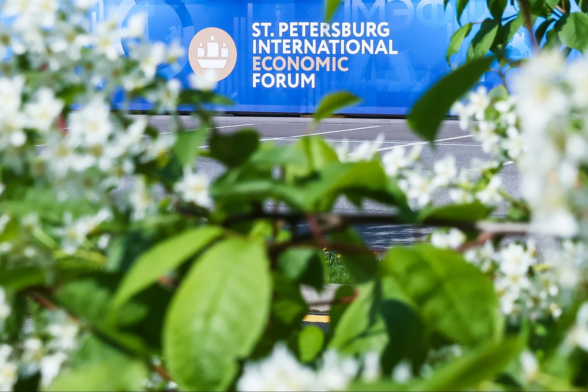 Форум вопреки санкциям: на ПМЭФ-2026 приедут представители более 100 стран, включая делегации из США и Германии