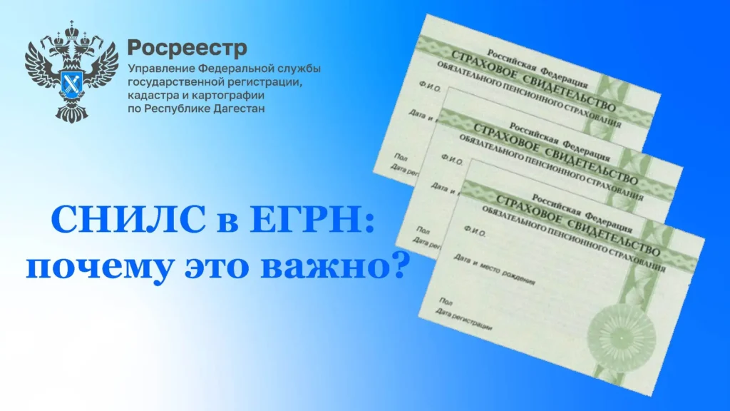 СНИЛС в ЕГРН: маленькая цифра, большая защита вашей недвижимости