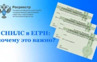СНИЛС в ЕГРН: маленькая цифра, большая защита вашей недвижимости