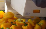 В Дагестане проконтролировали импорт 97,7 тыс. тонн плодоовощной продукции