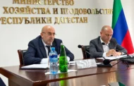 Альберт Хасауов обсудил с Минсельхозпродом Дагестана сбыт сельхозпродукции и борьбу с опустыниванием