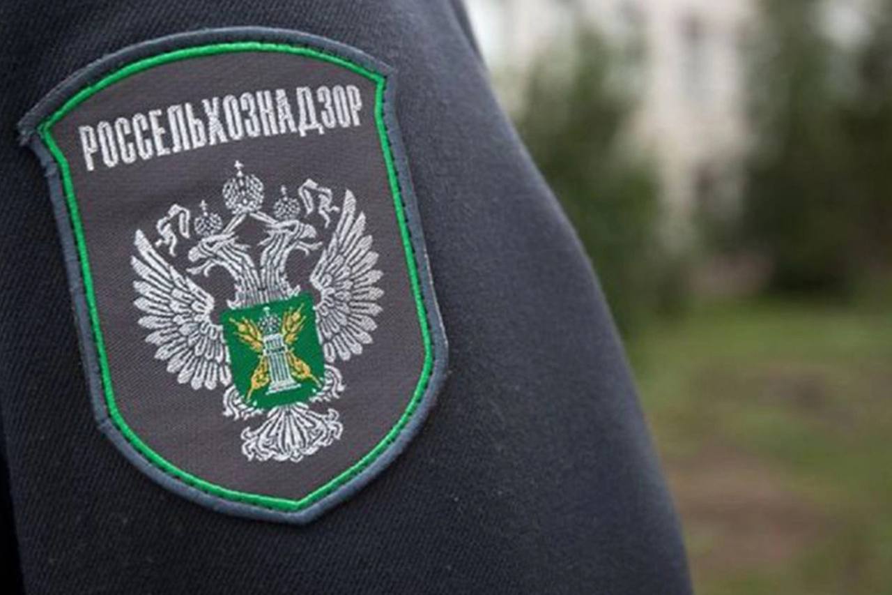 Россельхознадзор Дагестана рассказал жителям Магарамкентского района, как бороться с мраморным клопом